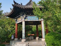 -迎泽公园