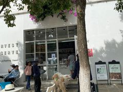 -收获咖啡HARVEST RESERVE(苍山店)