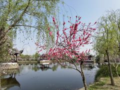 -无锡蠡湖国家湿地公园-蠡园