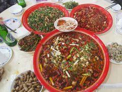 -东吴霸王兔(松青路店)