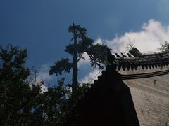 -潭柘寺景区