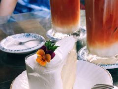 -Fern Forest Cafe