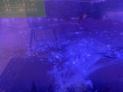 -三江源活鱼现烤(维多利摩尔城店)