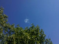 -武清南湖绿博园