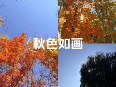 -长春市南湖公园