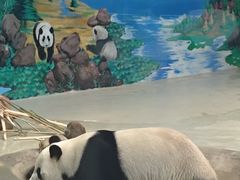 -柳州市动物园