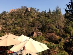 -厦门园林植物园-植物园滴水山房
