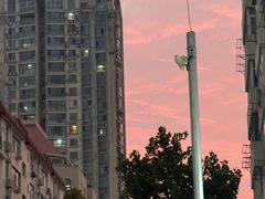 -来之顺海鲜菜馆·青岛菜·始于1993(栈桥店)