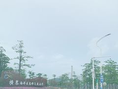 -芒洲湿地公园