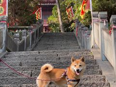 -梦姑塘文化公园