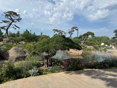 -罗红摄影艺术馆