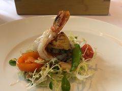 -蝶舍·MAISON PAPILLON