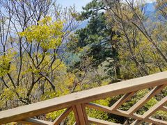 -青岩寺风景区
