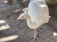 -水上乐园·欢乐世界