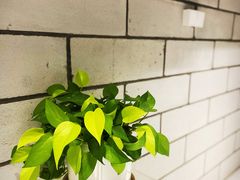 -RWORK·COFFEE(滨江店)