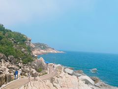 -广东惠东海龟国家级自然保护区