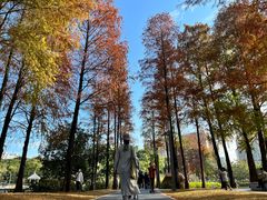 -四海公园(南山区)