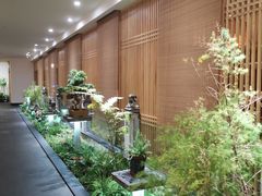 -成都锦城原舍酒店(锦里武侯祠店)