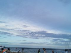 -碧海金沙