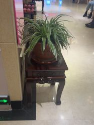 -北京俪婴妇产医院(朝阳大悦城店)