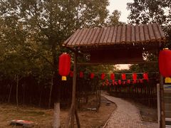 -焦岗湖影视城