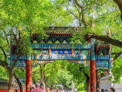 -北京国子监胡同