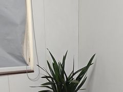 -兔博士口腔(长安分院)