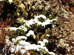 -天山天池风景区-西王母祖庙