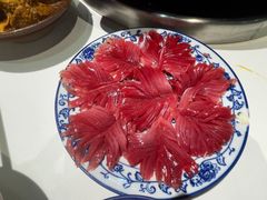 -卤校长老火锅(杨家坪直营店)