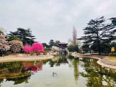 -国家植物园南园