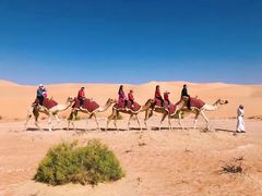 -阿布扎比沙漠皇宫酒店水疗中心