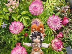 -苏州上方山国家森林公园