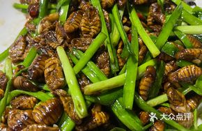 Bee Larvae Stir-fried with Leeks