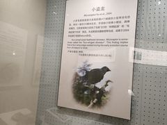 -辽宁古生物博物馆