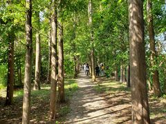 -上海长兴岛郊野公园