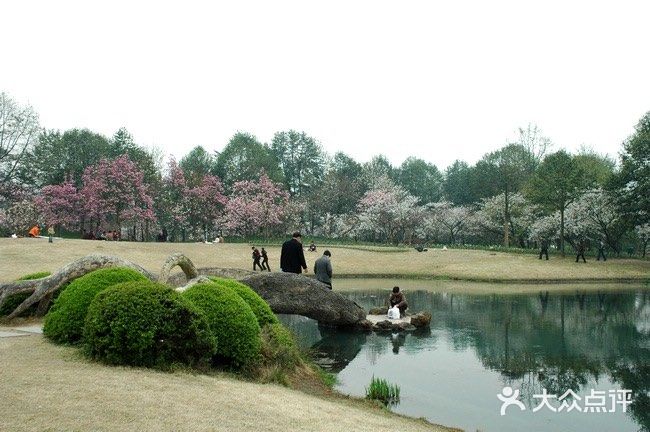 杭州太子湾公园攻略|