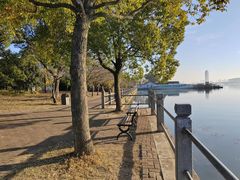 -无锡蠡湖国家湿地公园-蠡园