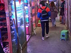 -花鸟鱼虫鲜花绿植市场(玉泉路店)
