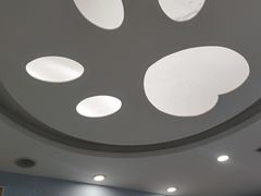 -纳吉亚猫专科动物诊疗中心(蒋宅口分院)