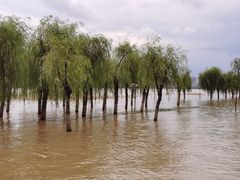 -武汉关码头(轮渡站)