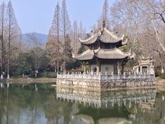 -习家池