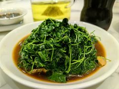 -品鲜村农家菜·阳澄湖大闸蟹(总店)
