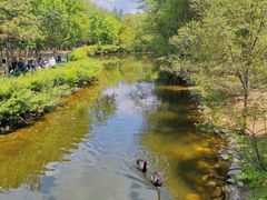 -长白岛森林公园