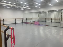 -中央芭蕾舞团·中芭艺蕾(酒仙桥明星校区)