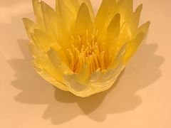 -晓长安·新陕菜(曲江店)