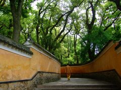 -普陀山风景名胜区-法雨禅寺