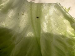 -长兴开元名都大酒店·地中海咖啡厅