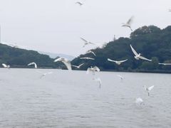 -宝岛眼镜(常熟珠江路欧尚店)