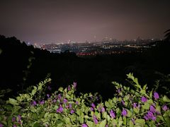 -火炉山森林公园