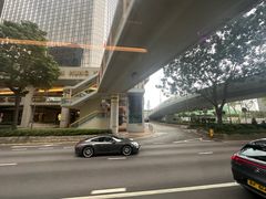 -九龙公园